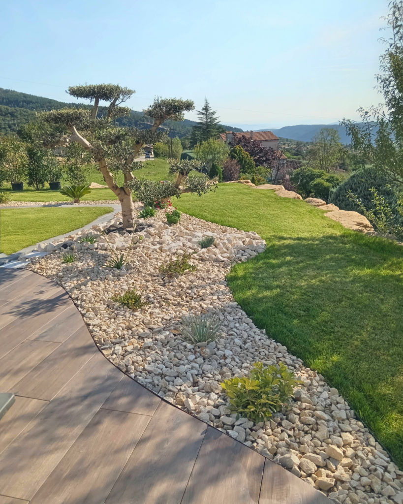 allees et massif olivier Florasol