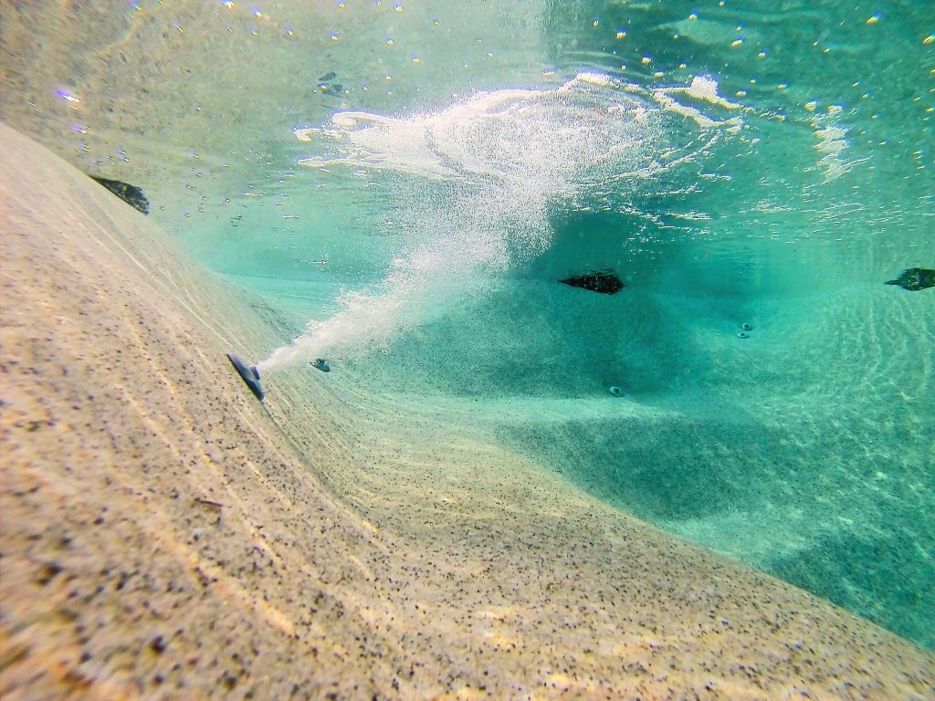 Diffusion de fines bulles d'aérothérapie dans une mini-piscine ICONIA Bio.design offrant une expérience de relaxation douce et enveloppante.
