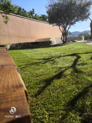 engazonnement de terrasse