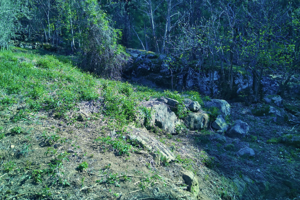 Terrain rocheux naturel avant la construction d'une piscine lagon Bio.design réalisée par Florasol en Ardèche