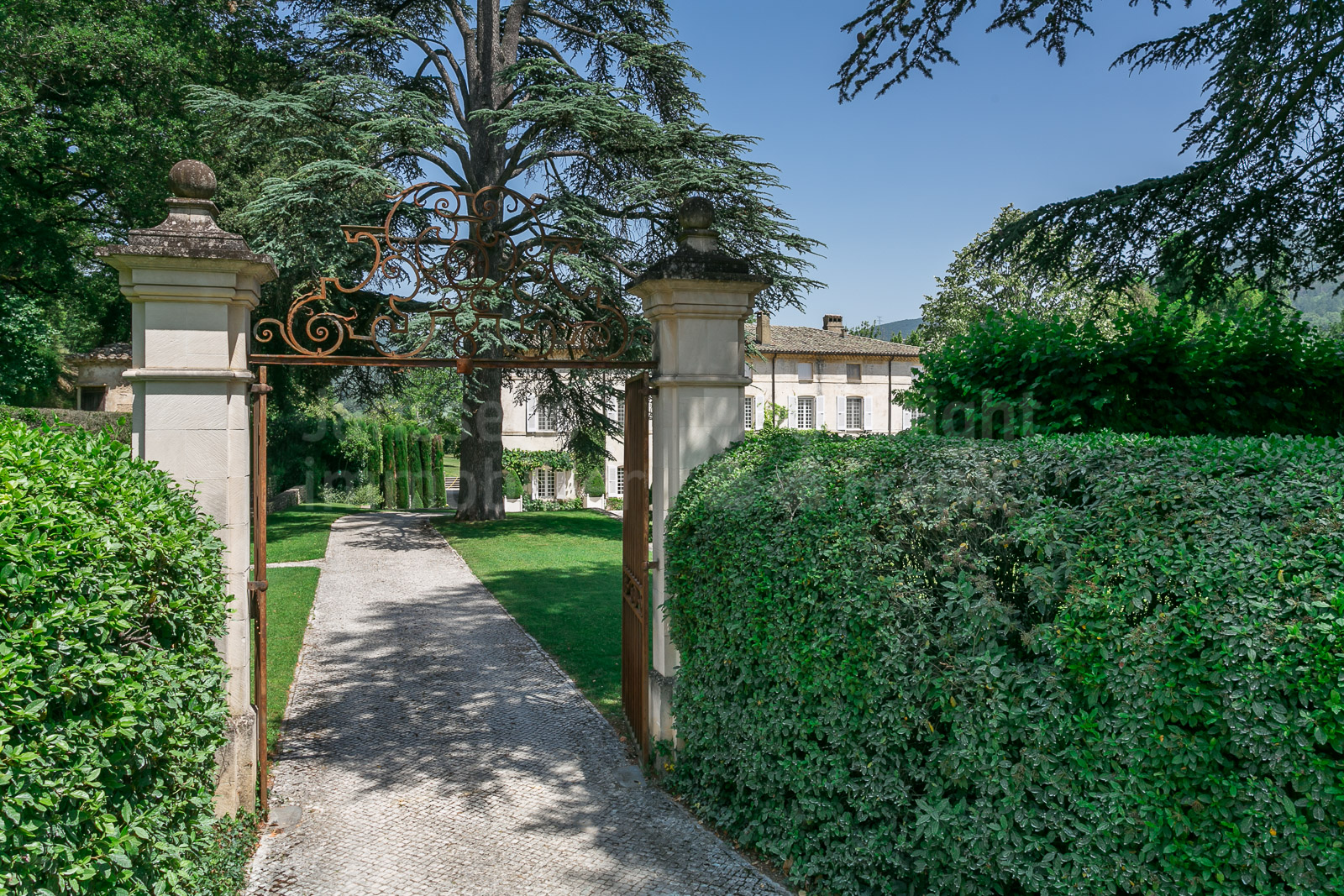 Haie soigneusement entretenue encadrant l'entrée d'une demeure avec arbres d'ornement en Ardèche