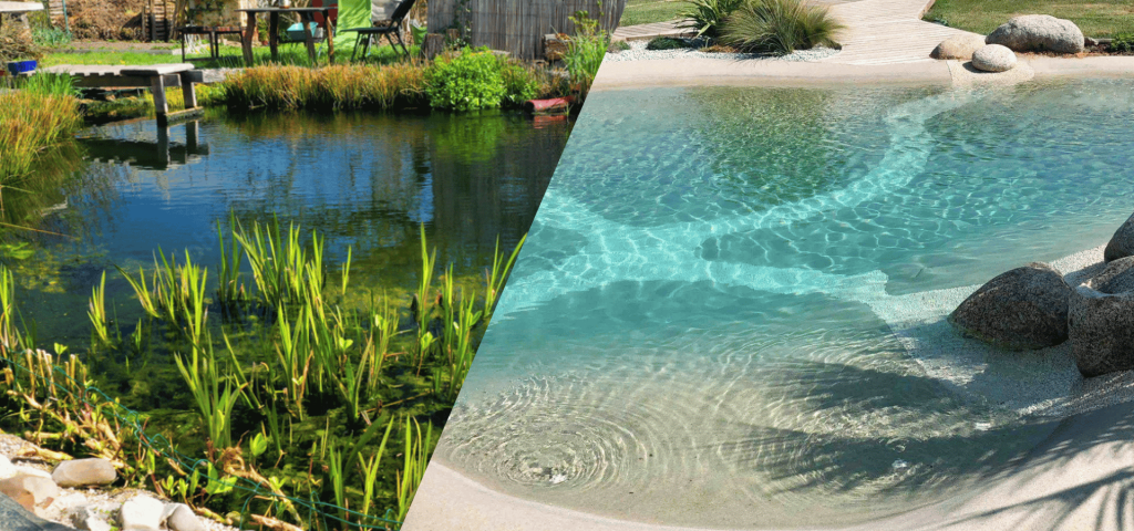 Comparaison entre une piscine naturelle avec filtration biologique et une piscine lagon aux plages immergées et à l'eau cristalline pour comprendre leurs différences d'esthétique, d'entretien et de confort.