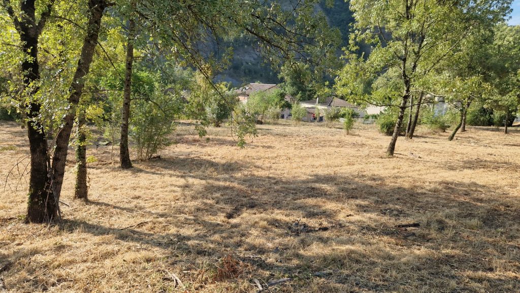 Terrain après débroussaillage et entretien par un paysagiste en Ardèche et Drôme