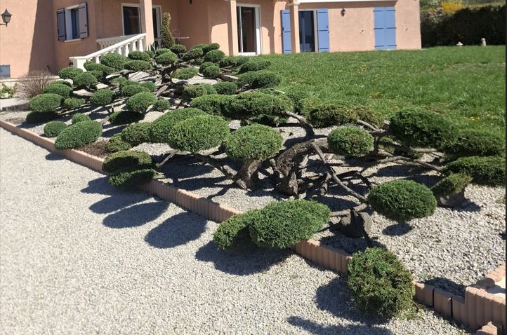 Entretien de jardin et taille d’arbustes par un paysagiste en Ardèche et Drôme
