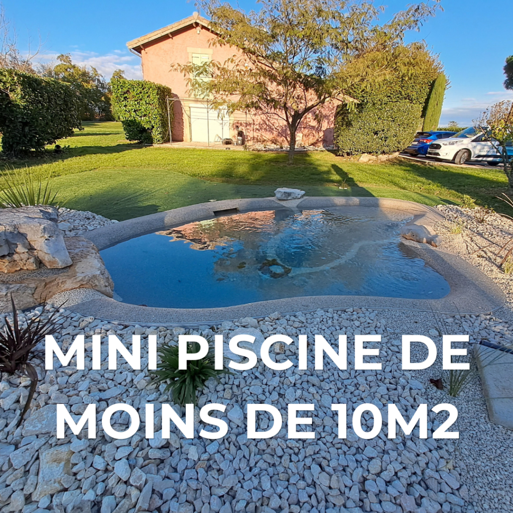 Mini piscine lagon de moins de 10 m² intégrée dans un jardin paysager