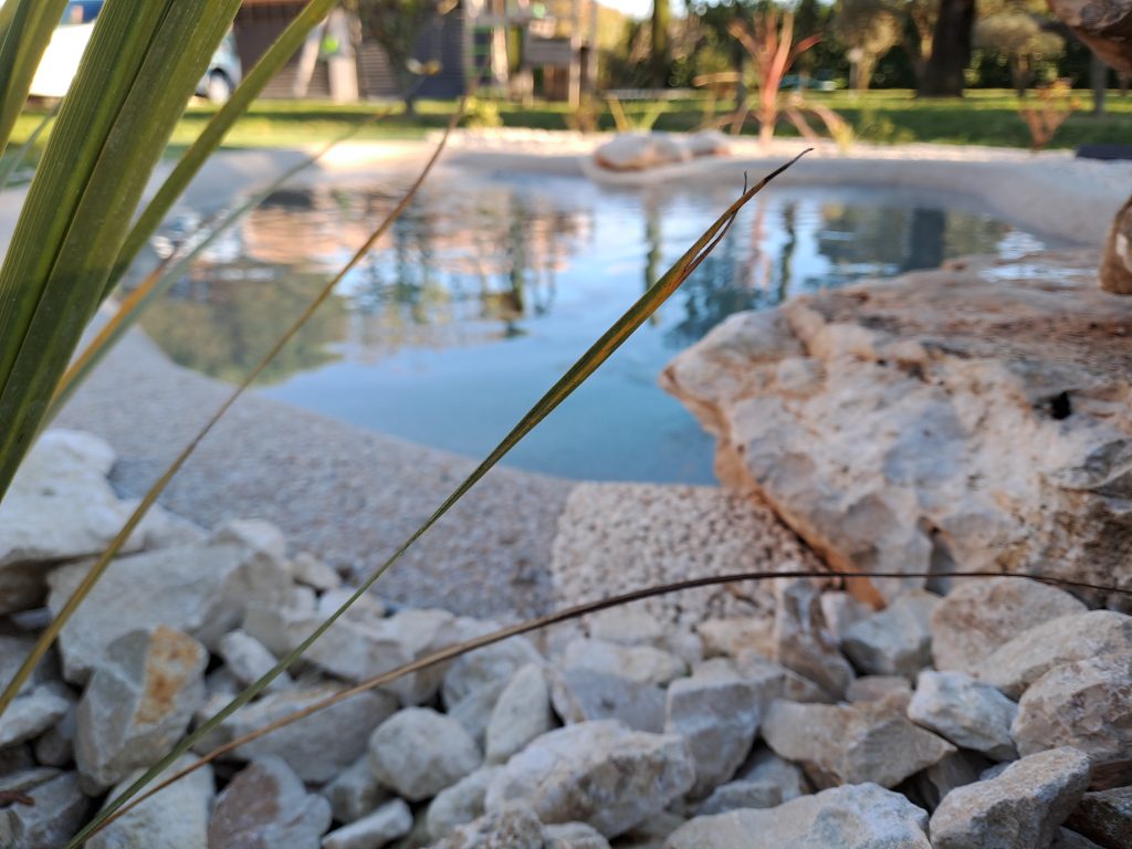 Mini piscine de moins de 10 m² intégrée dans un jardin paysager avec végétation et pierres