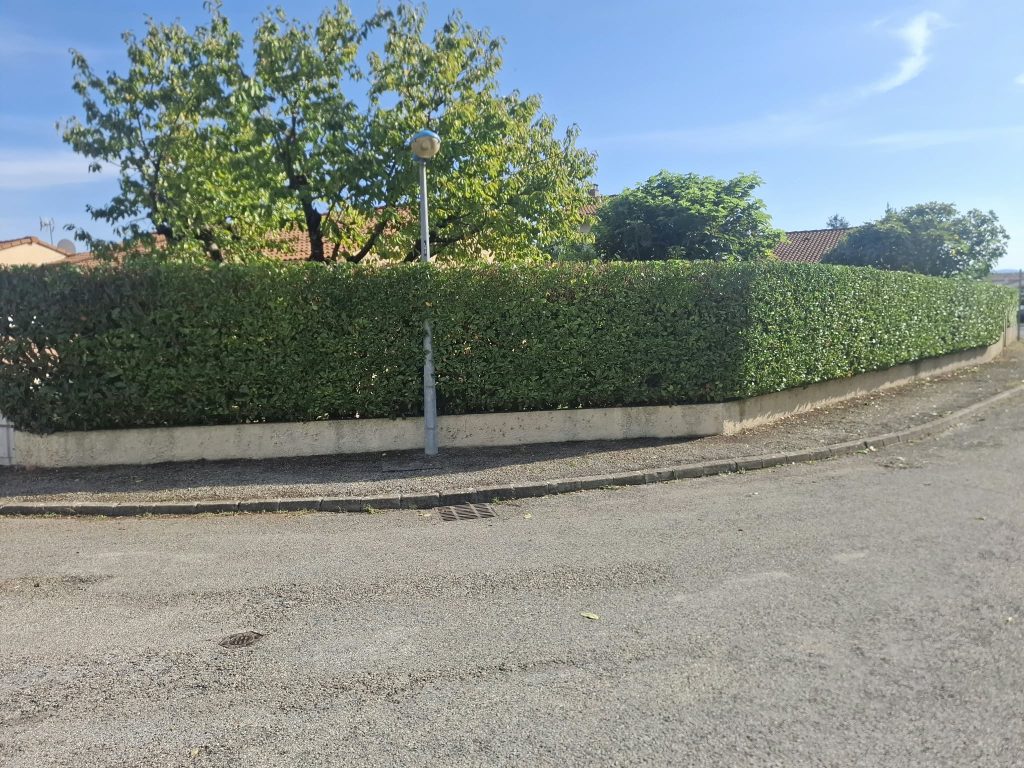 Haie taillée et entretenue dans un jardin en Ardèche et Drôme